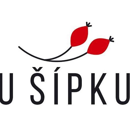 Dum U Sipku Hotel Krasna Lipa Luaran gambar